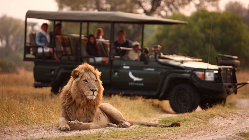 Private Safari Travel foto