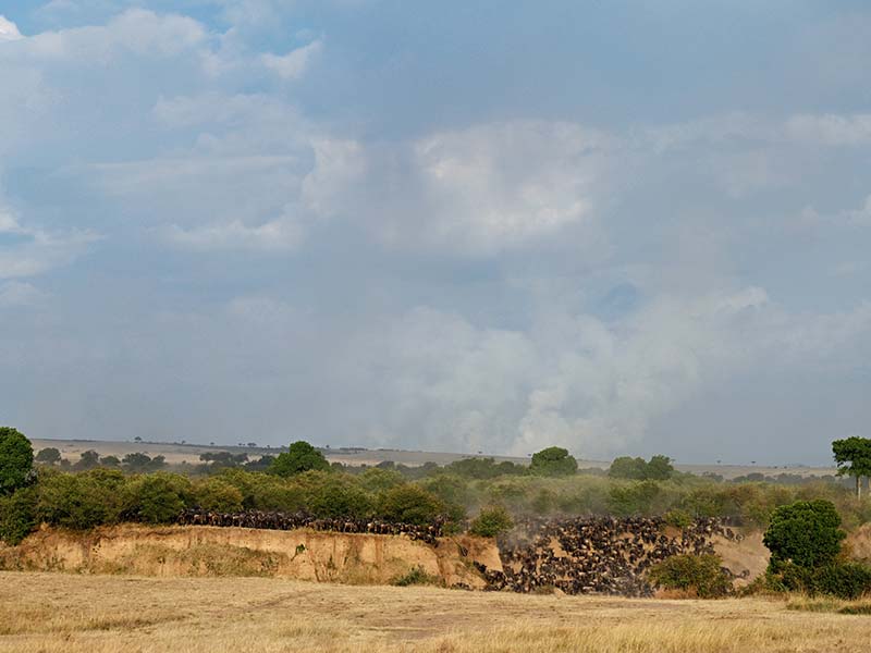 Foto Safari Afrika foto