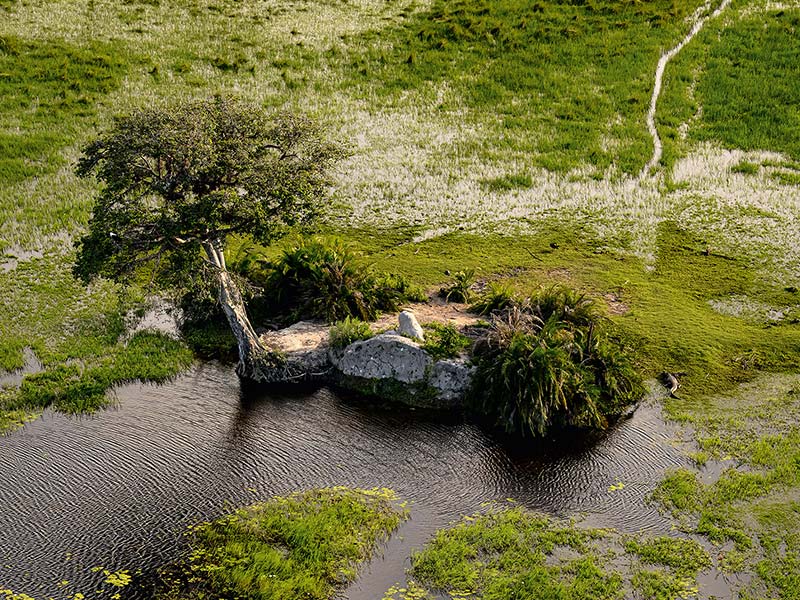 Private Safari Travel foto