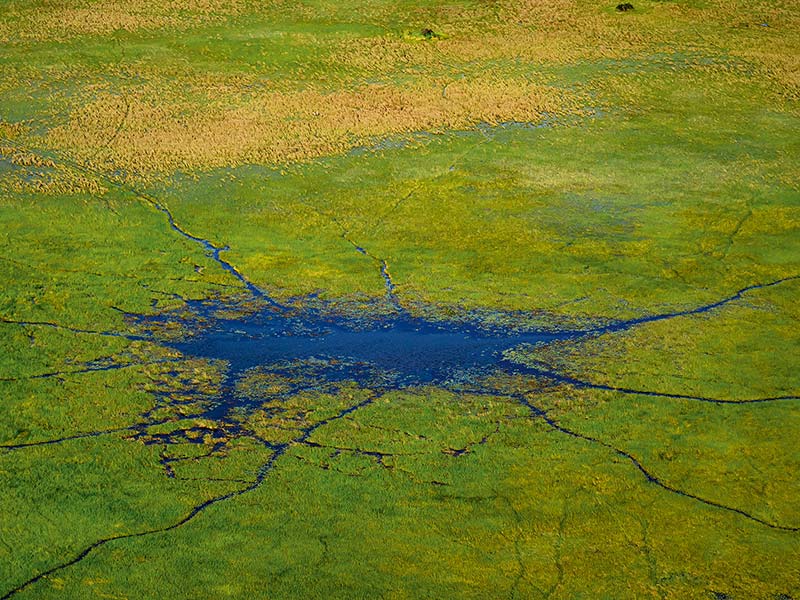 Private Safari Travel foto