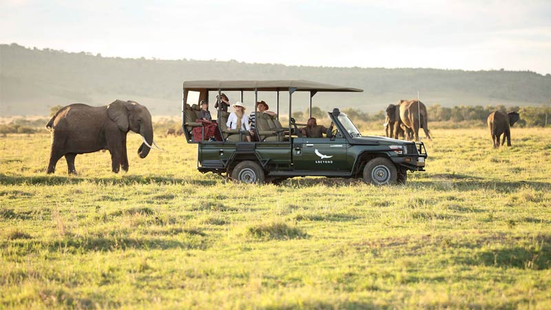 Private Safari Travel foto